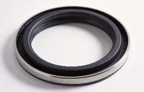 End Pieces & Terminal Joints — Hatch Cover Rubber Seals